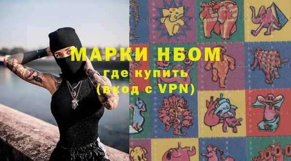 хмурый Верея