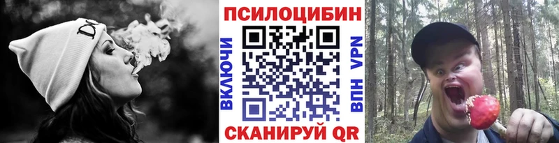 Галлюциногенные грибы мухоморы  ОМГ ОМГ ссылка  Алексеевка 