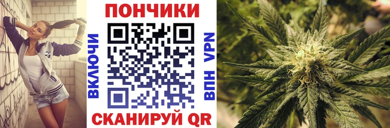 гидра   Алексеевка  Каннабис Amnesia 
